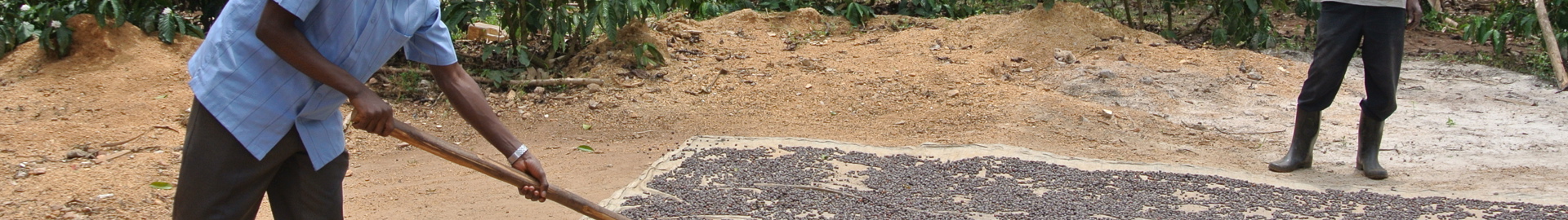 NUCAFE